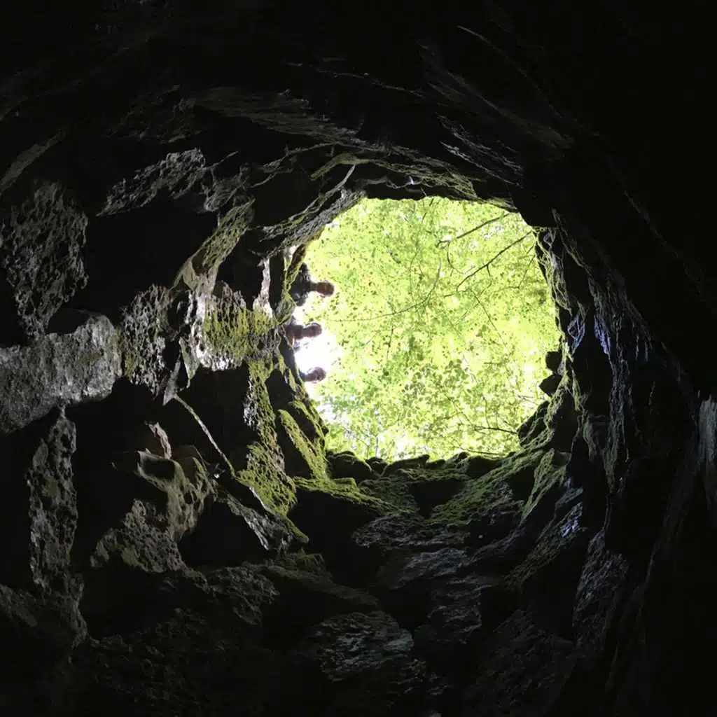 Lintuja Tuulessa & Katja Felin