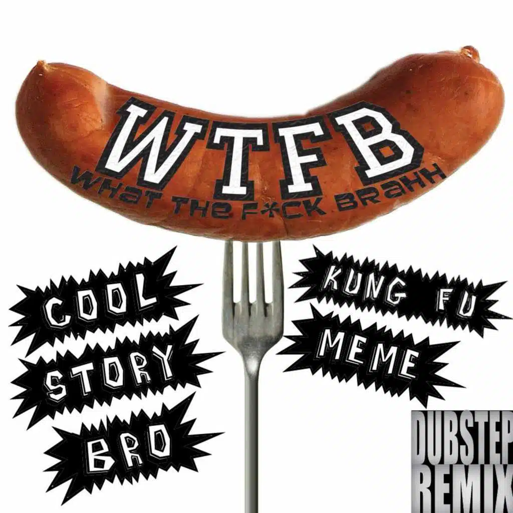 Cool Story Bro, Kung Fu Meme (Dubstep Remix)