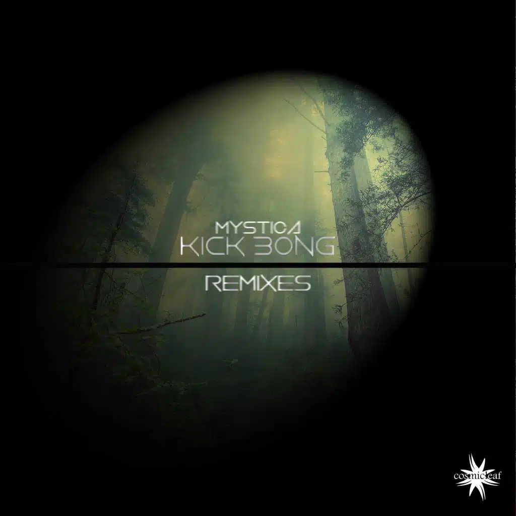 Echo In My Mind (Translippers Remix)