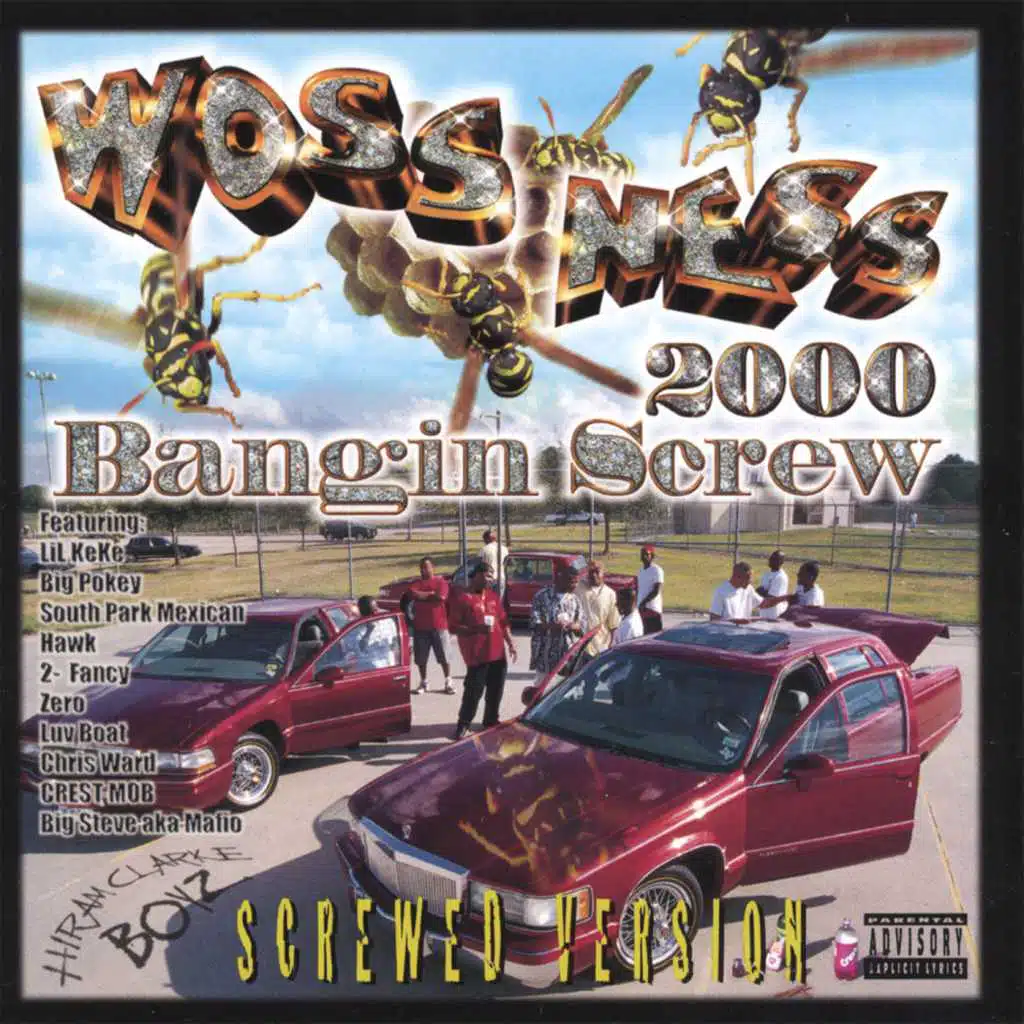 Bangin Screw 2000 : Screwed