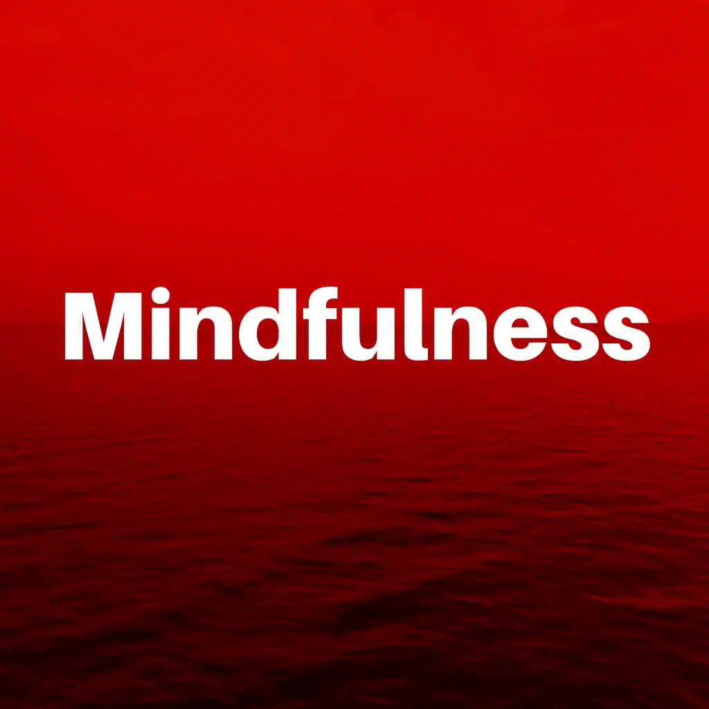 Mindfulness CD - Meditation Music