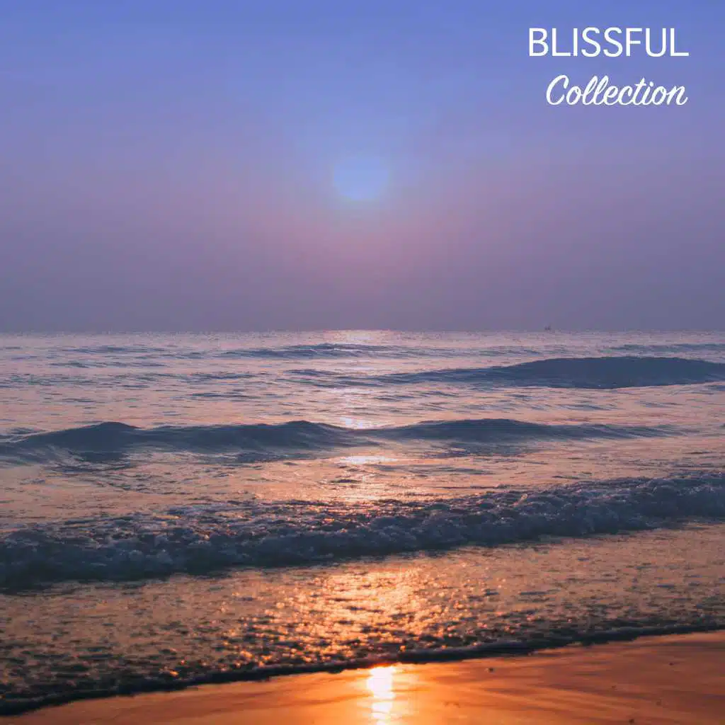 #14 Blissful Collection for Sleep