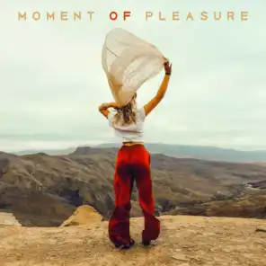 Moment of Pleasure – Music for Complete Relaxation, Total Rest and Regaining Strength