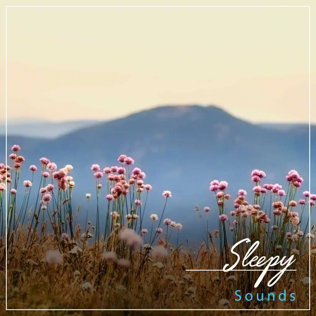 #15 Sleepy Sounds for Asian Spa, Meditation & Yoga