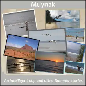 An Intelligent Dog and Other Summer Stories
