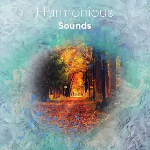 #18 Harmonious Sounds for Sleep
