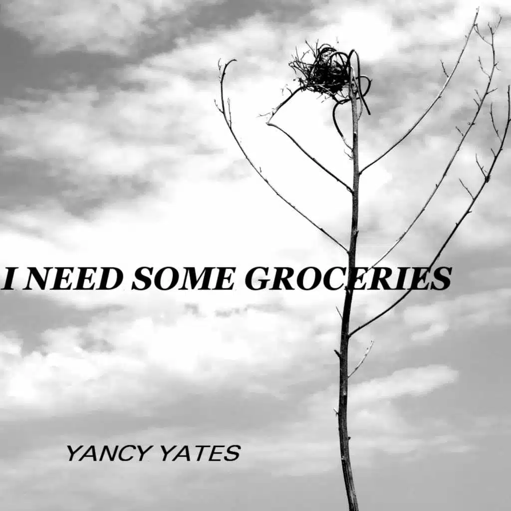 I Need Some Groceries