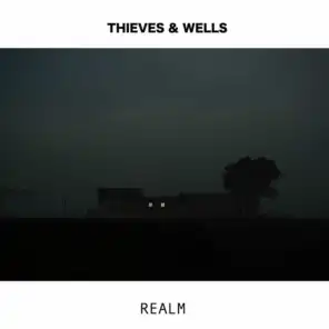 Wells & THIEVES