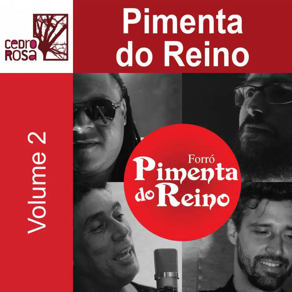 Forró Pimenta do Reino, Vol. 2