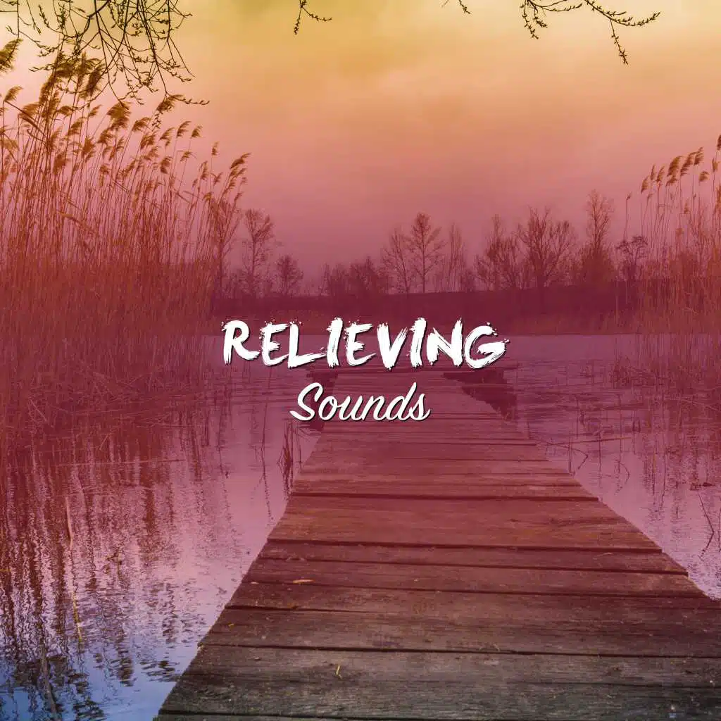 Water Spa, Pure Serenity Spa Music & Massage Collective Garden & Zen Relaxation Meditation, Bath Spa Relaxing Music Zone