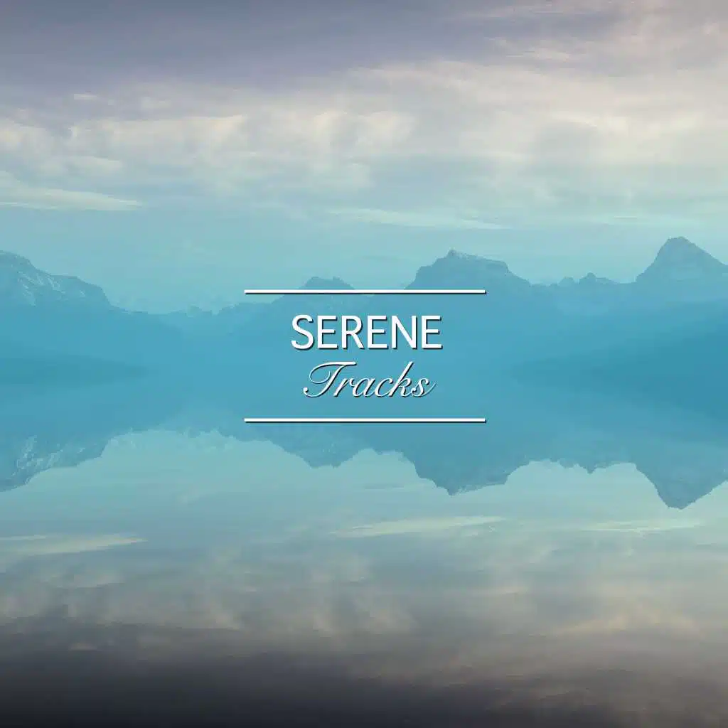 #2019 Serene Tracks for a Great Nights Sleep