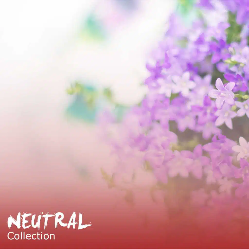 #11 Neutral Collection for a Great Nights Sleep