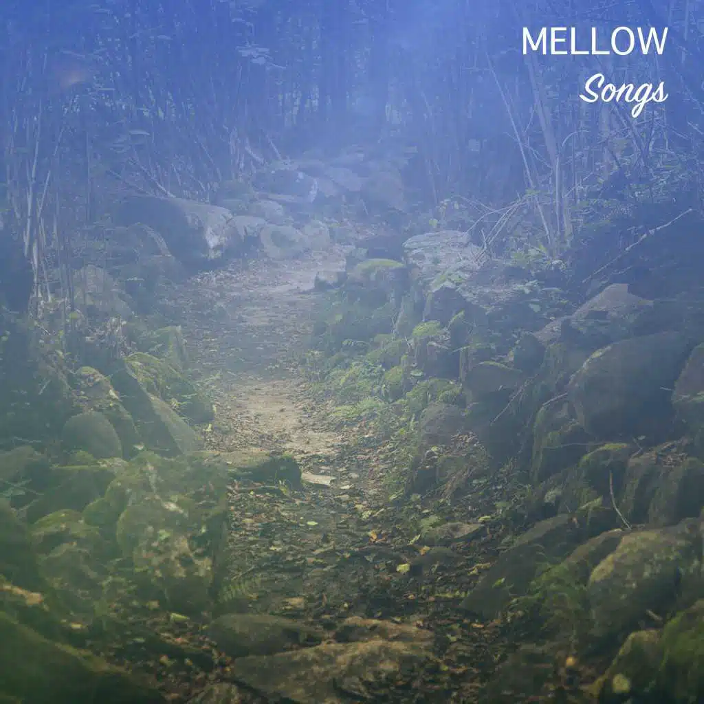 Amazing Yoga Sounds, Yoga music club, Yoga Meditation and Relaxation Music