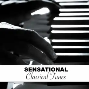 Schubert's Sonata in B Flat II Andante Sostenuto