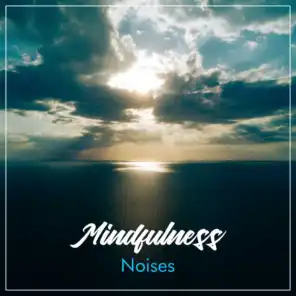 #10 Mindfulness Noises for Meditation, Spa and Relaxation