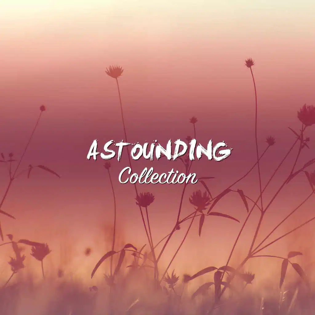 #13 Astounding Collection for Deep Meditation & Relaxation