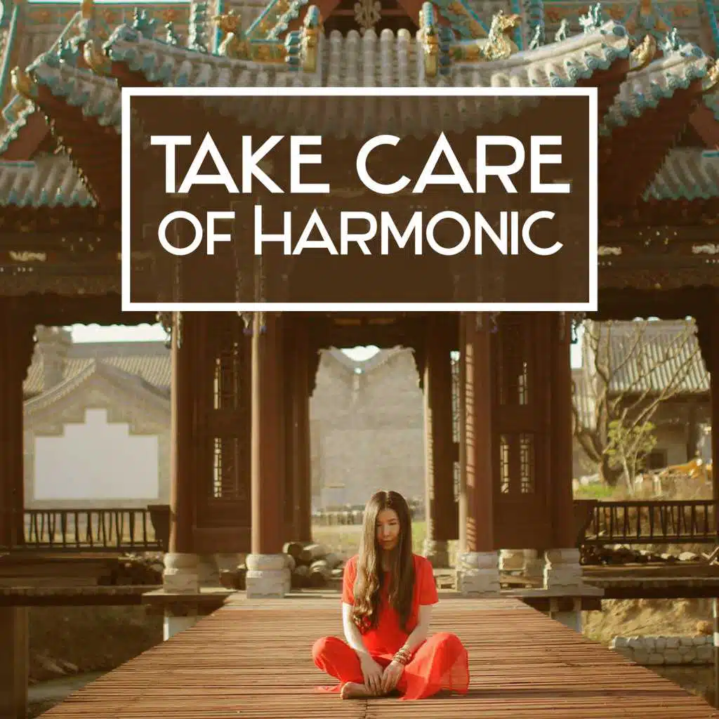 Take Care of Harmonie - Exercise Discipline, Wise Reasoning, Behavior Balance, Yoga and Open Chakras