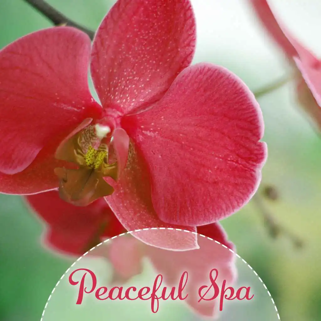 Peaceful Spa – Relaxation Melodies for Wellness, Deep Sleep, Pure Massage, Soothing Music