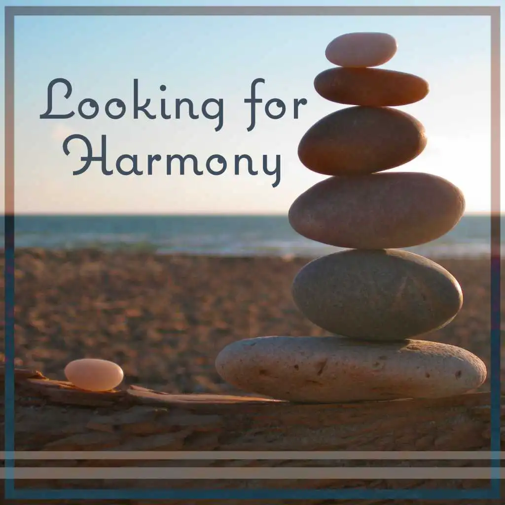 Looking for Harmony: Work & Life Balance & Meditation & Relaxation Calming Nature Sound