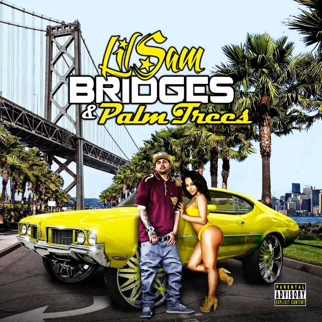 Bridges & Palm Trees