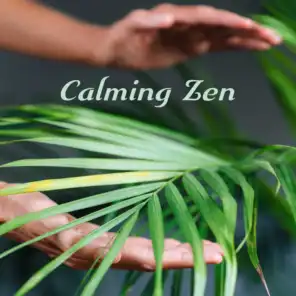Calming Zen - Healing Melodies for Meditation, Relaxing Yoga, Pure Meditation to Calm Down