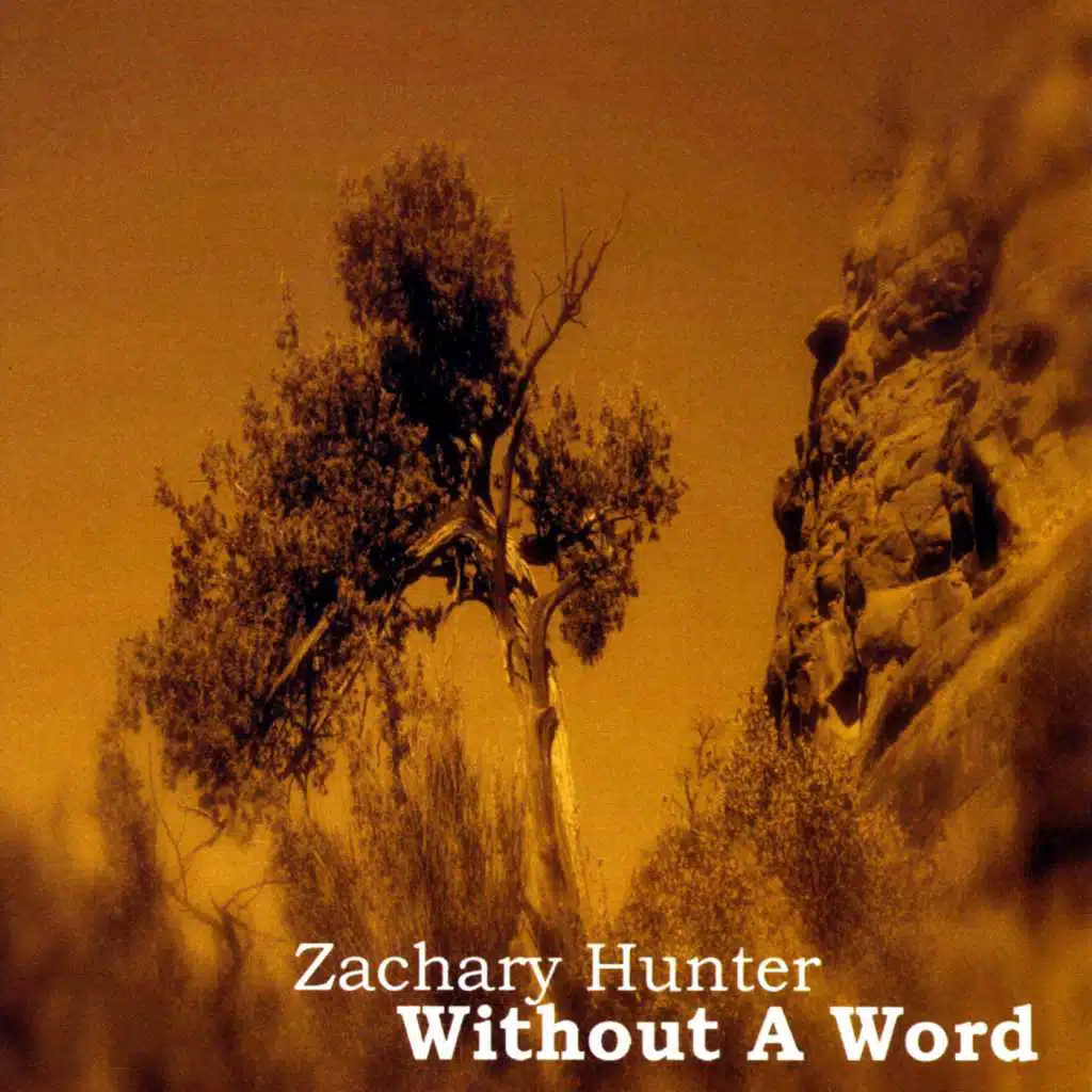 Without a Word