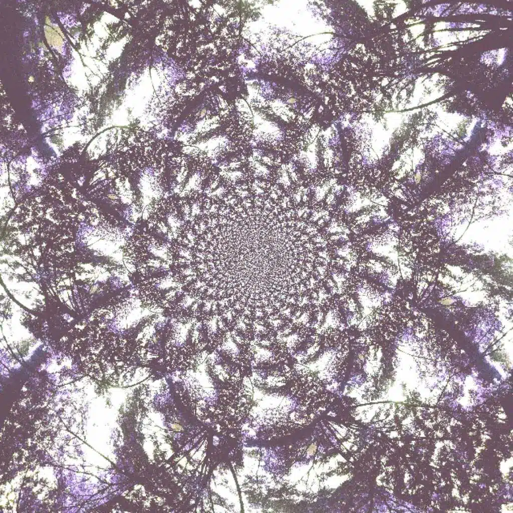 Zach Zeller & the Crooked Timbers