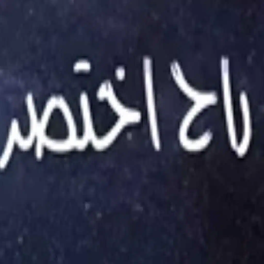 يوسف الصقر