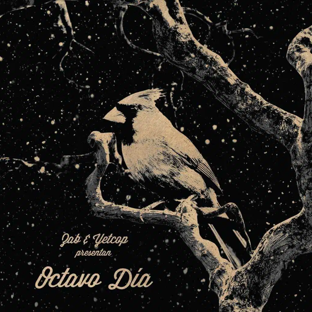 Octavo Día