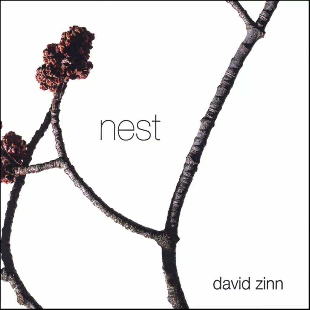 Nest