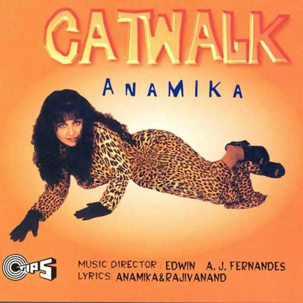Catwalk (Video Mix)