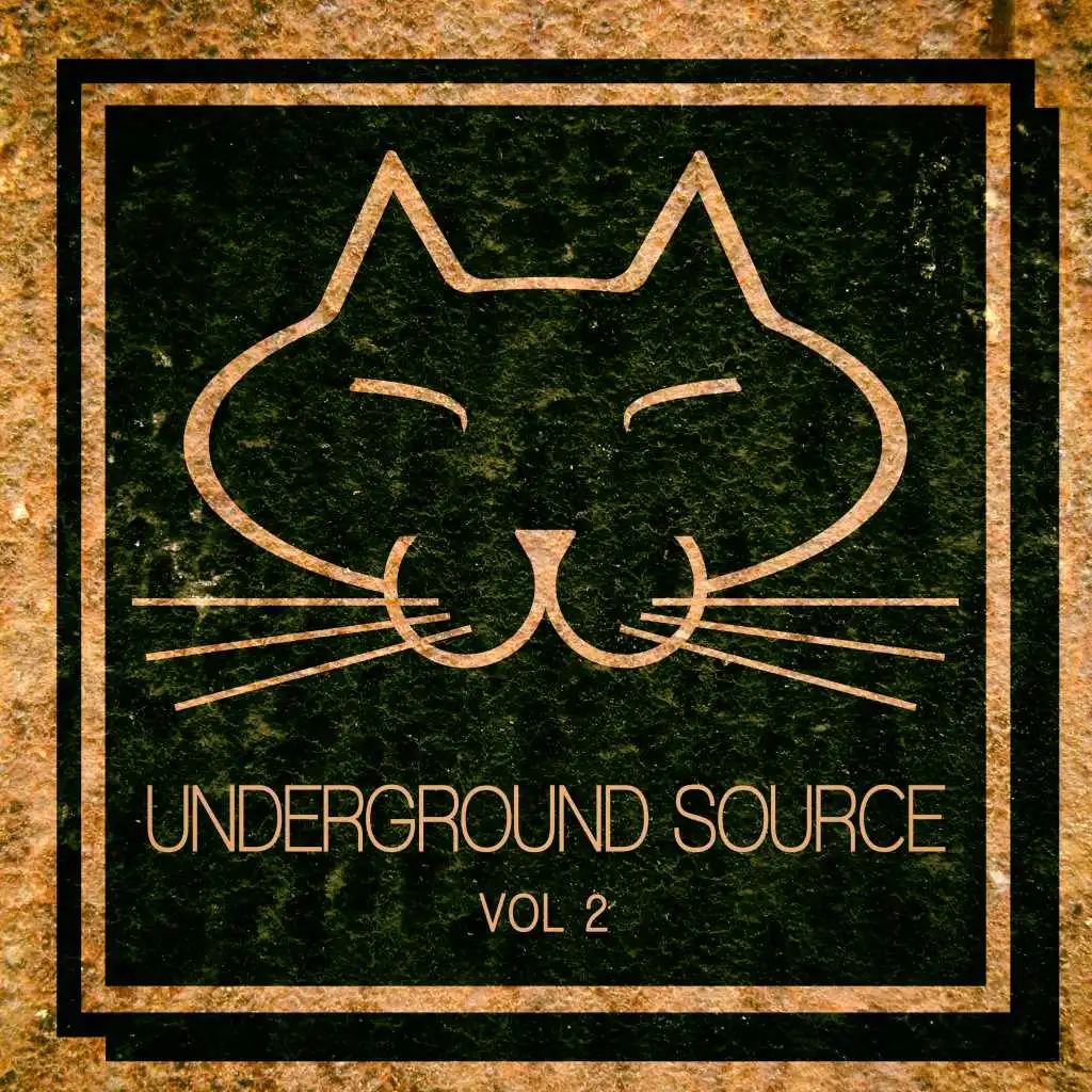 Underground Source, Vol. 2