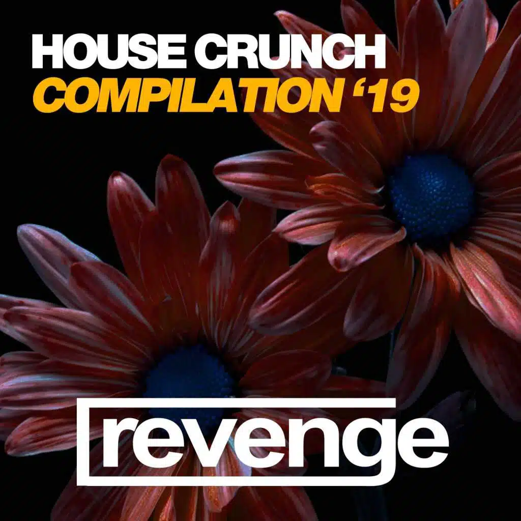 House Crunch '19