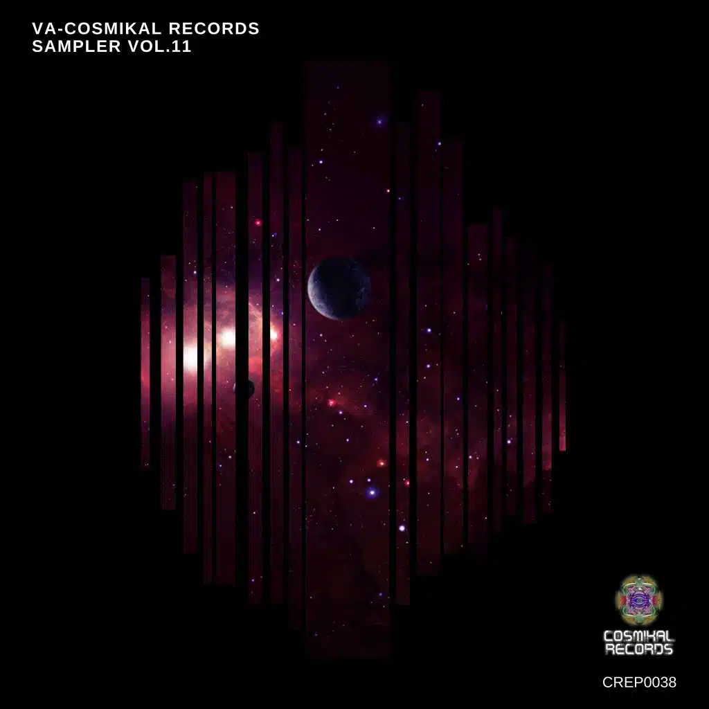 VA - Cosmikal Records Sampler, Vol. 11