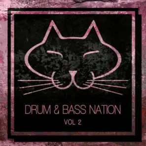 Drum & Bass Nation, Vol. 2