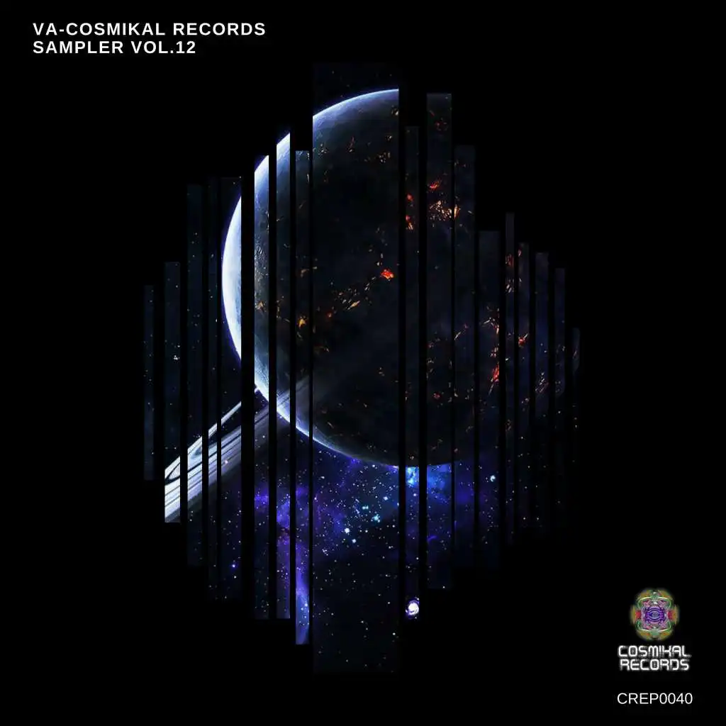 VA - Cosmikal Records Sampler, Vol. 12