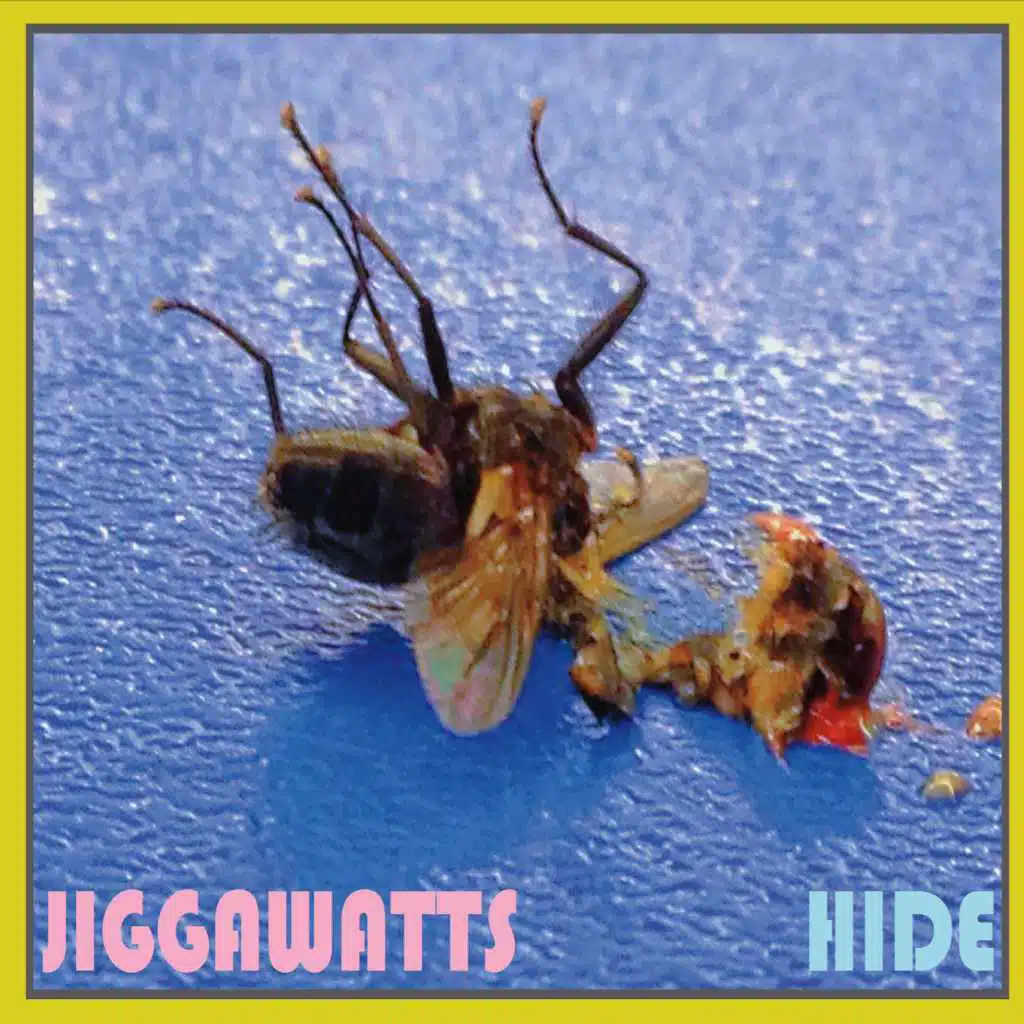 Dogs, Ants, and Nothing