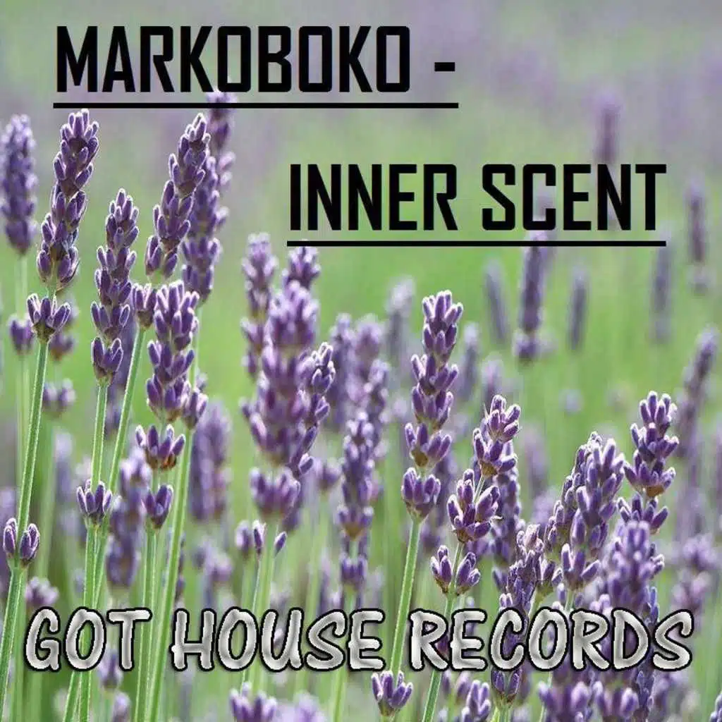 Into You (Instrumental Mix)