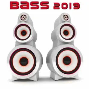 Bass 2019