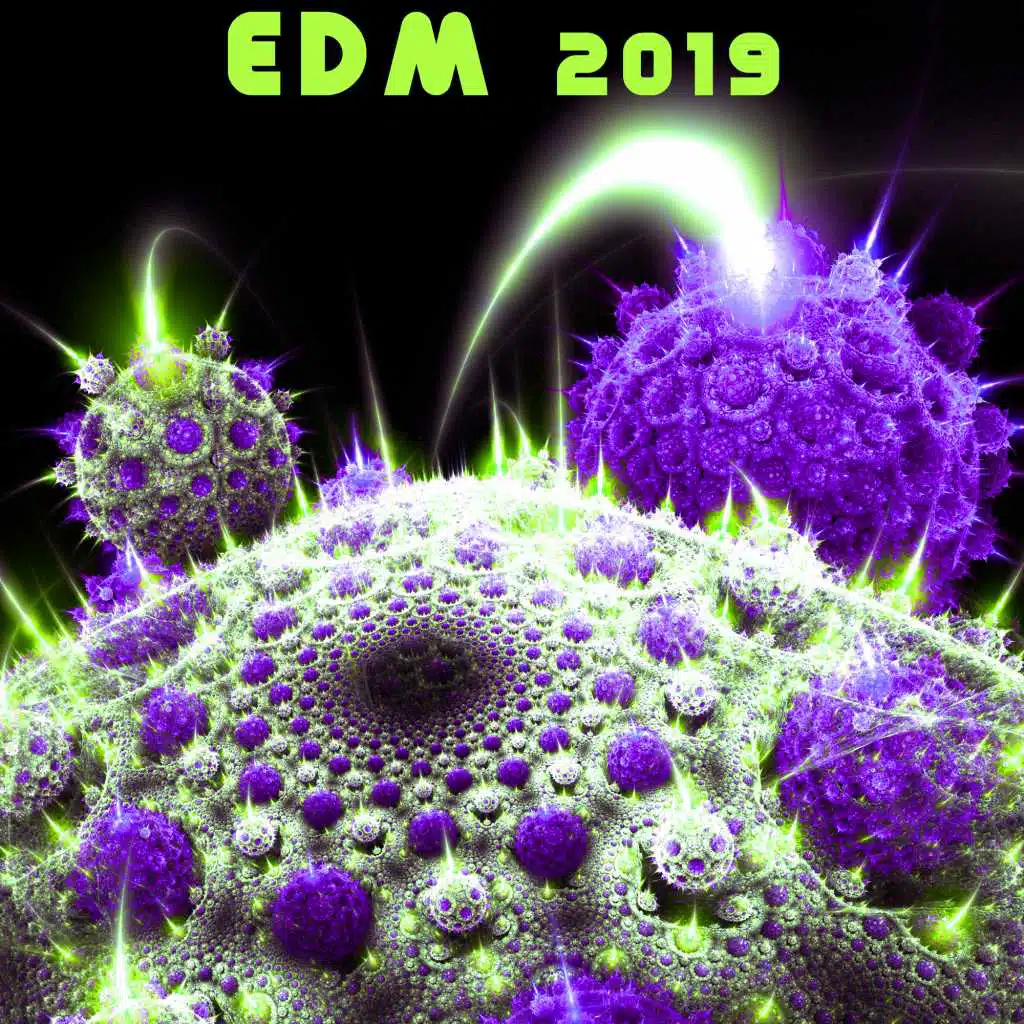 EDM 2019
