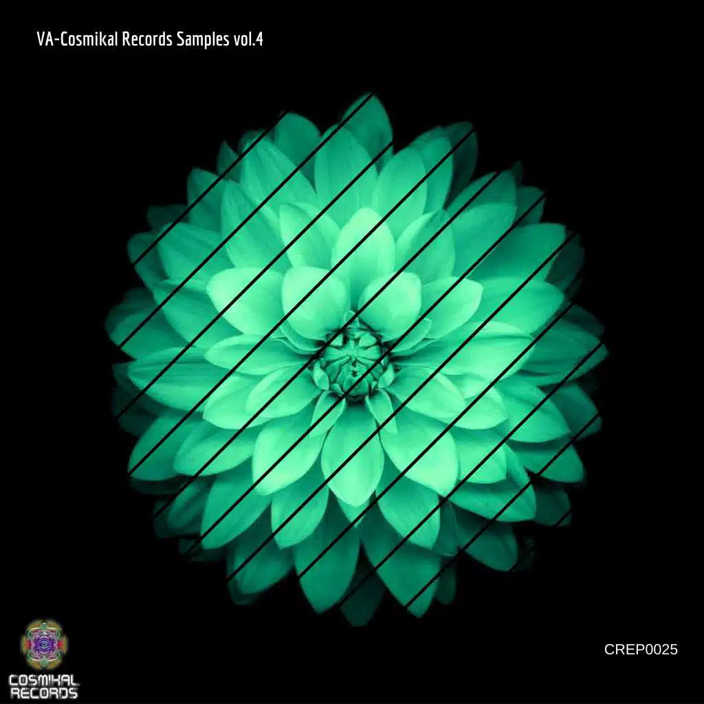 VA - Cosmikal Records Samples, Vol. 4