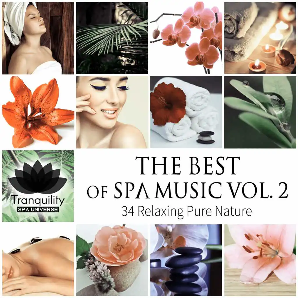 The Best of Spa Music Vol. 2: 34 Relaxing Pure Nature, Total Serenity, Wellness Center Treatment, Massage Therapy, Mindful Rest & Sleep