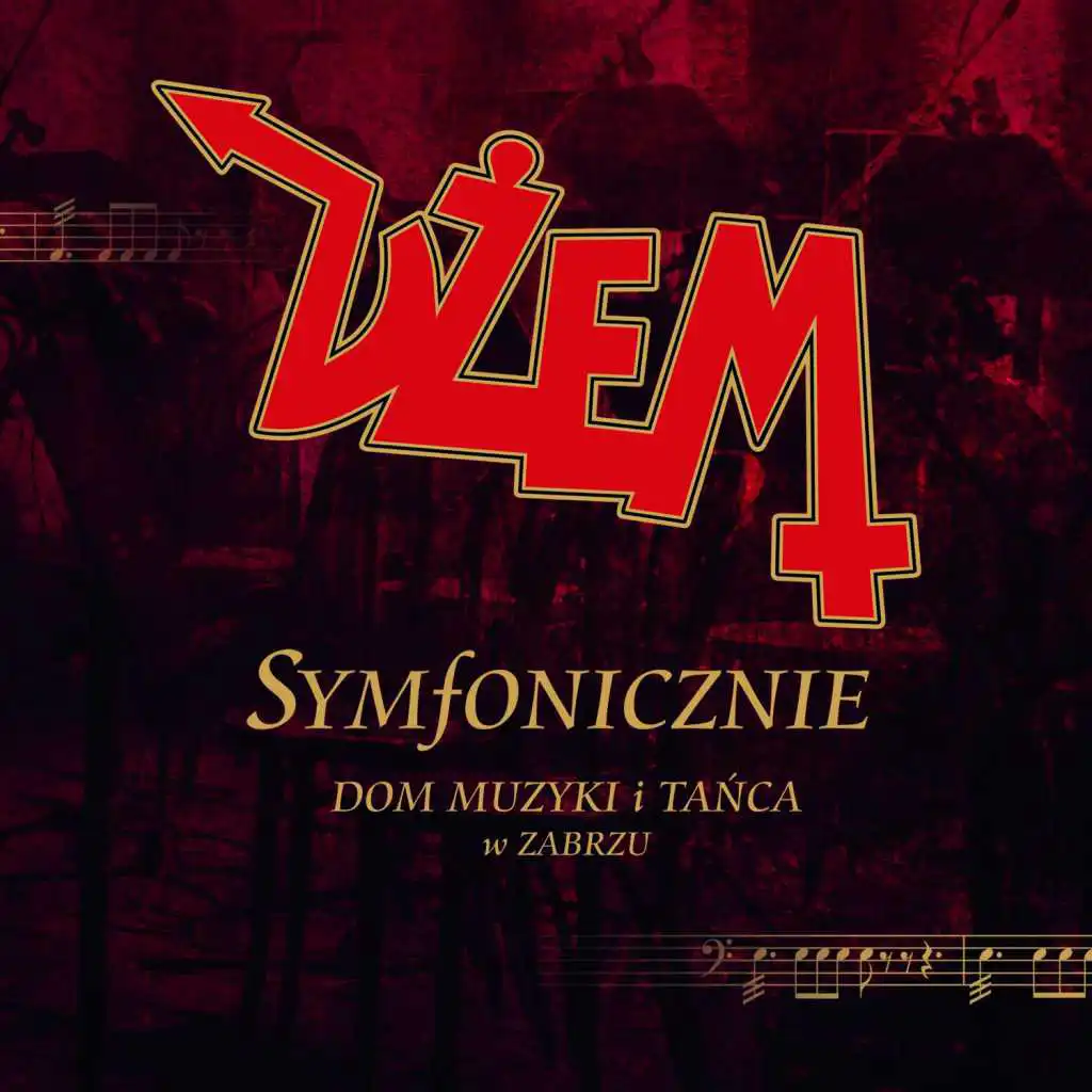 Symfonicznie [Live] (Live)