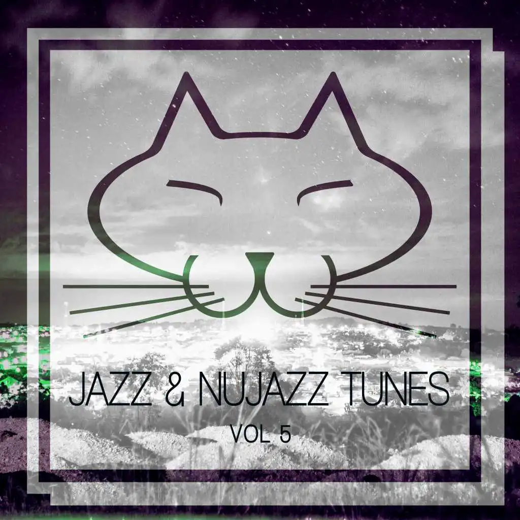 Jazz & Nujazz Tunes, Vol. 5