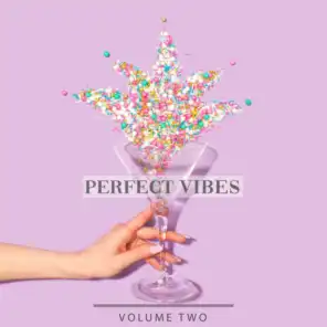 Perfect Vibes, Vol. 2