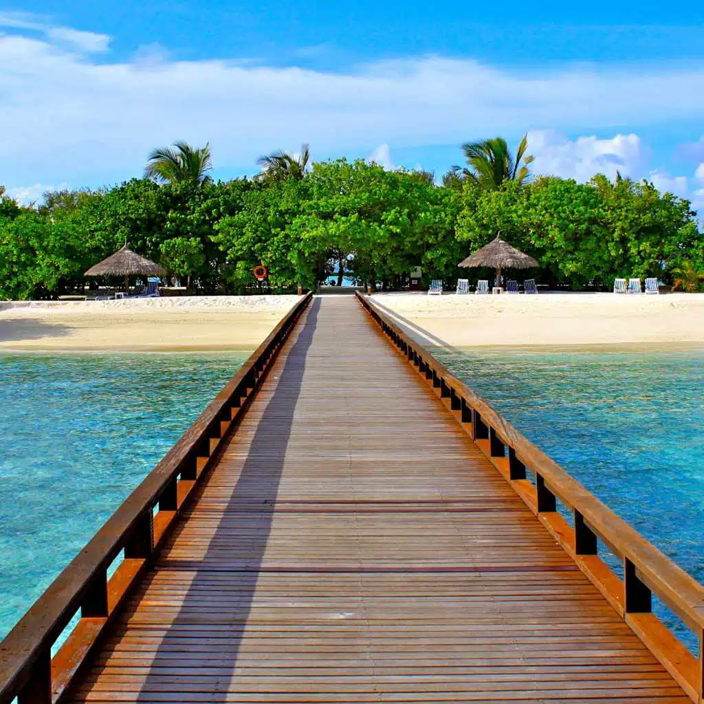 Why You Should Not Force Anything (feat. Alan Watts)