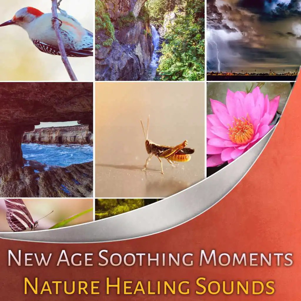 New Age Soothing Moments: Nature Healing Sounds