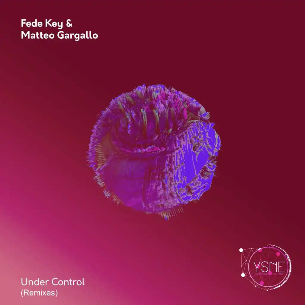 Under Control (Remixes)