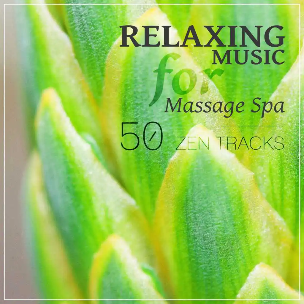 Relaxing Music for Massage Spa: 50 Zen Meditation Music for Health Wellness, Healing Nature Sounds for Stress Relief, Sleeping Songs