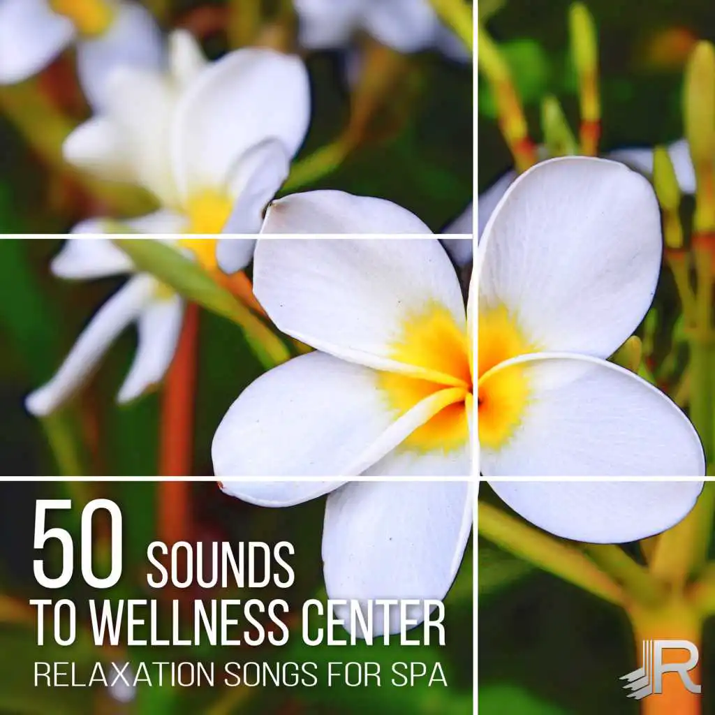 Sounds to Wellness Center (Relaxing Guitar, Stream Noise & Birds Chirping)